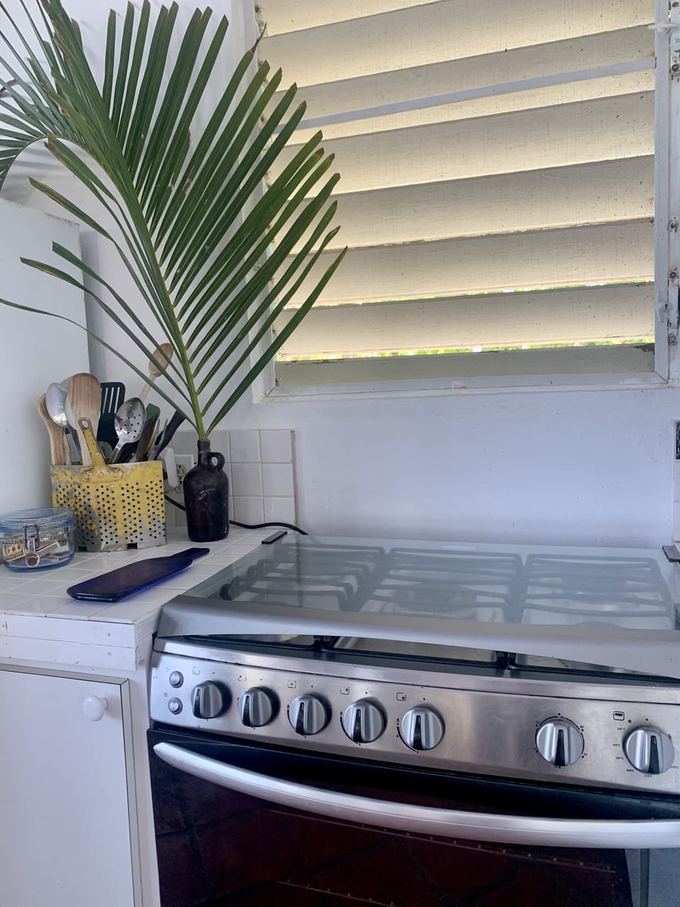 Six burner gas stove/oven 