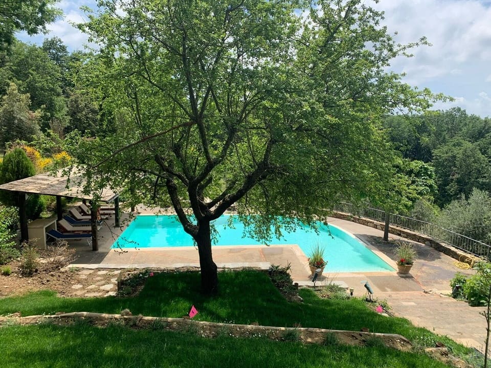 Infinity panoramic pool with a patio for some shade. All fenced around