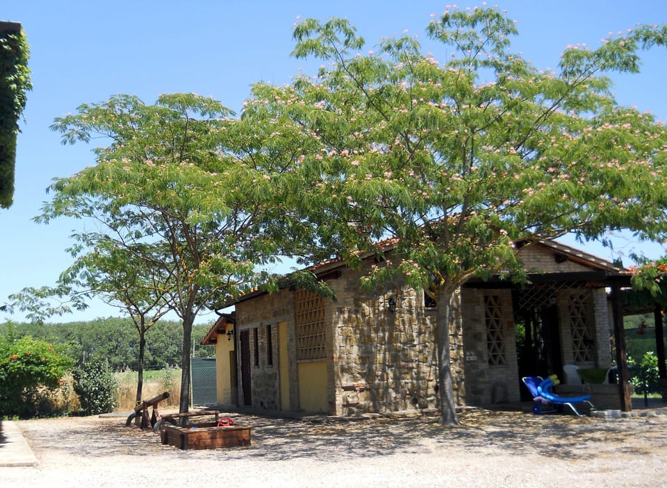 The Nido House