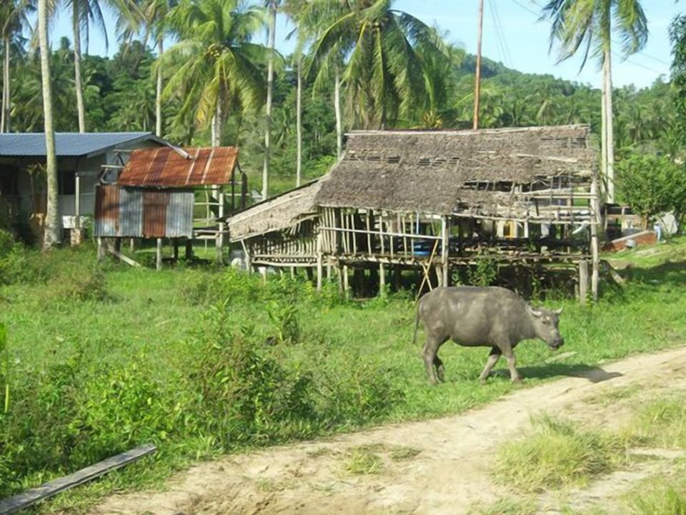 Luxury Jungle Stay at the Tip of Borneo