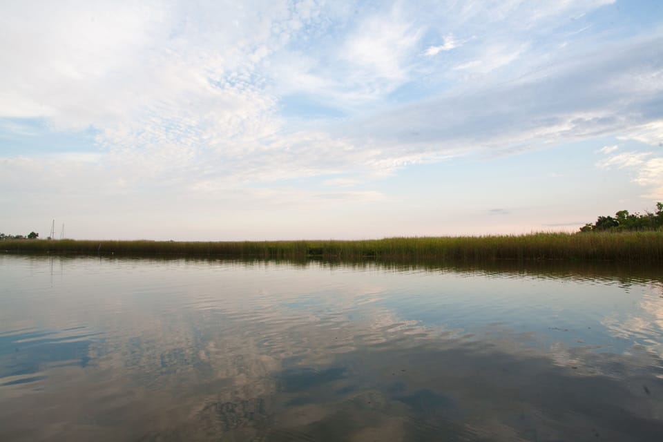 THIS is your view of the Apalachicola River/Scipio Creek