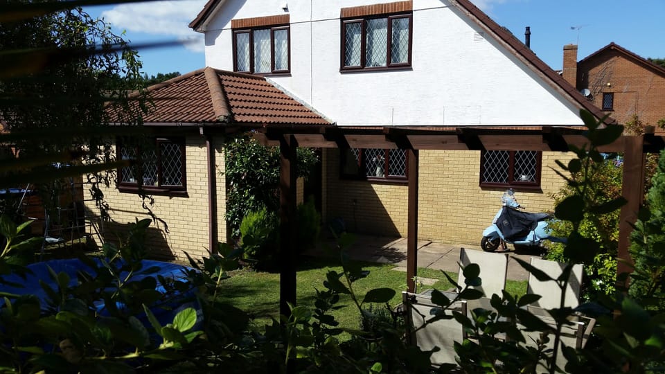 Back garden