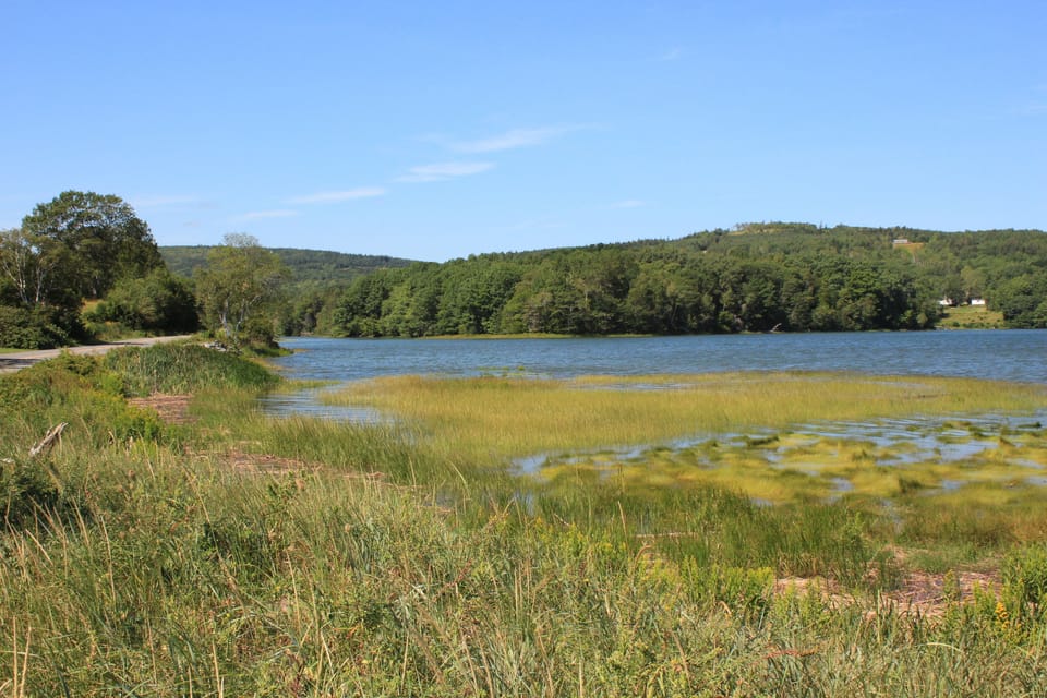 Ogden Pond