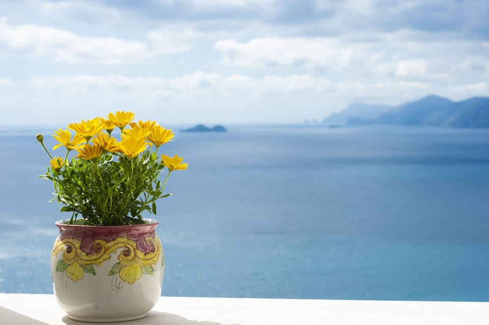 view from the terrace