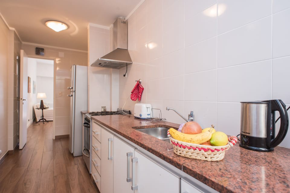 Cozy 3 bedroom apartment in Recoleta