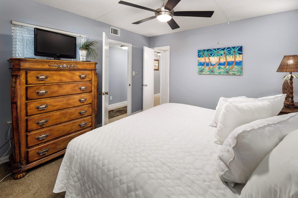 Master bedroom with TV
