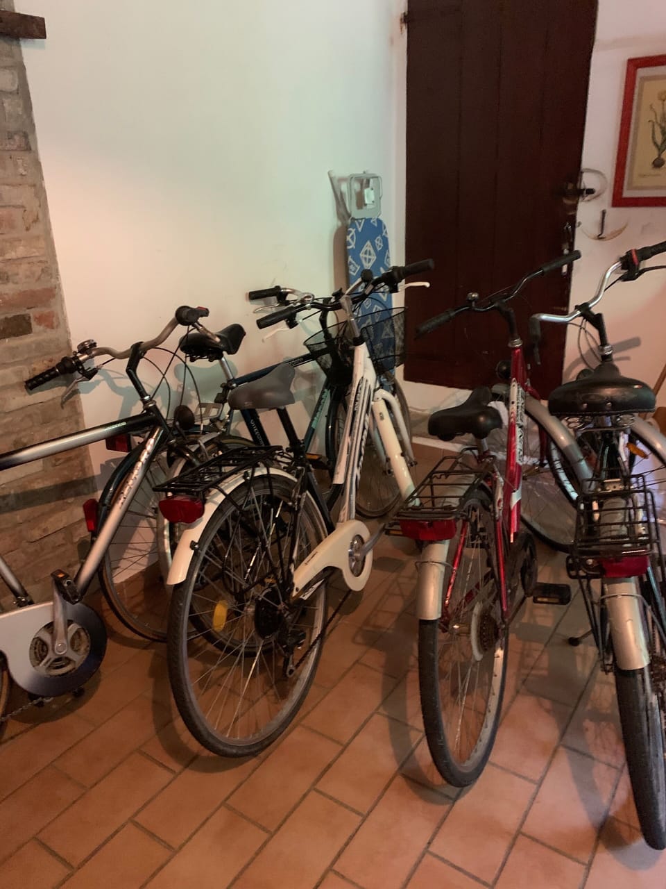 Le biciclette a disposizione 