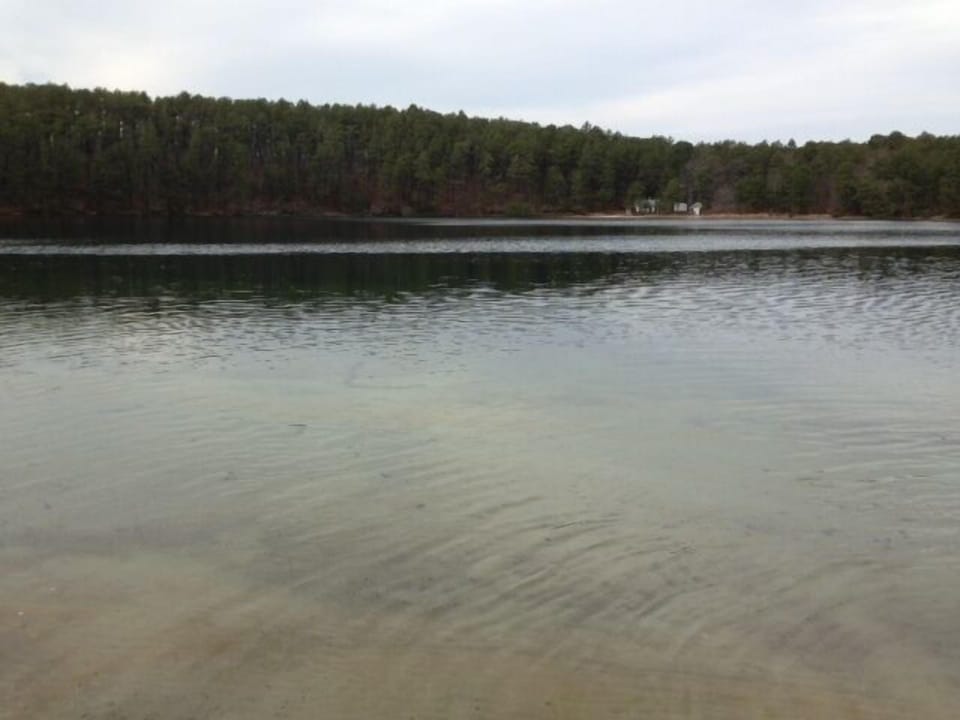 Duck Pond. 15 minute walk through national forest. (Ask for directions.)