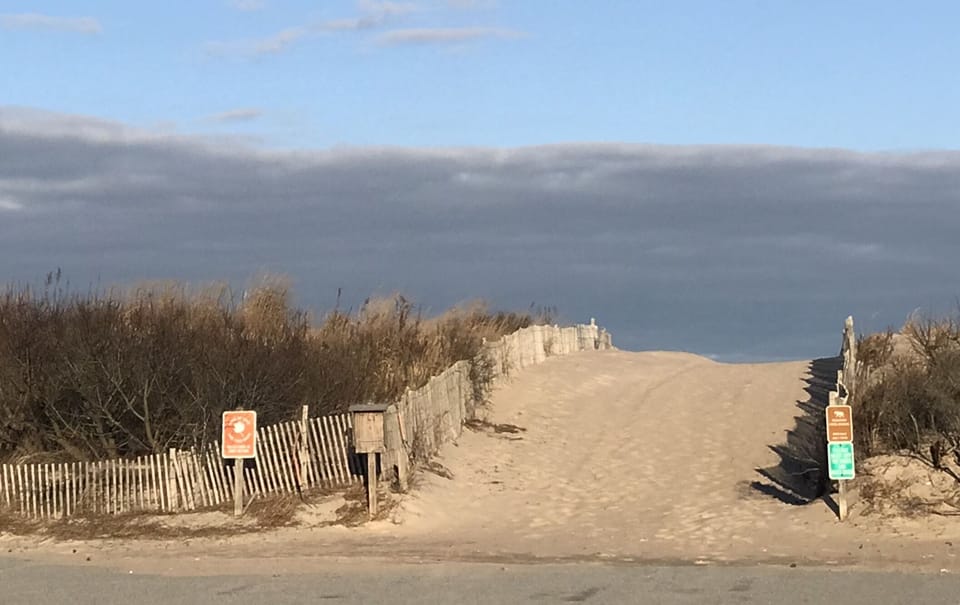 Head to the beautiful ocean at one of our many state beaches. 