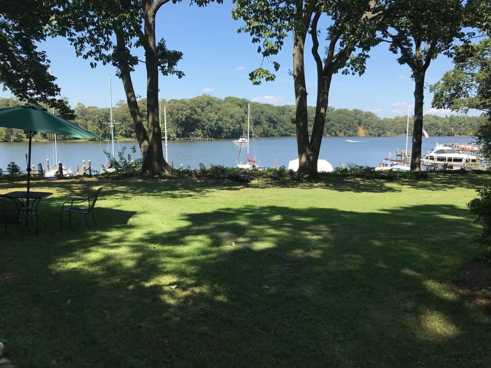 View from Sassafras Cottage to river