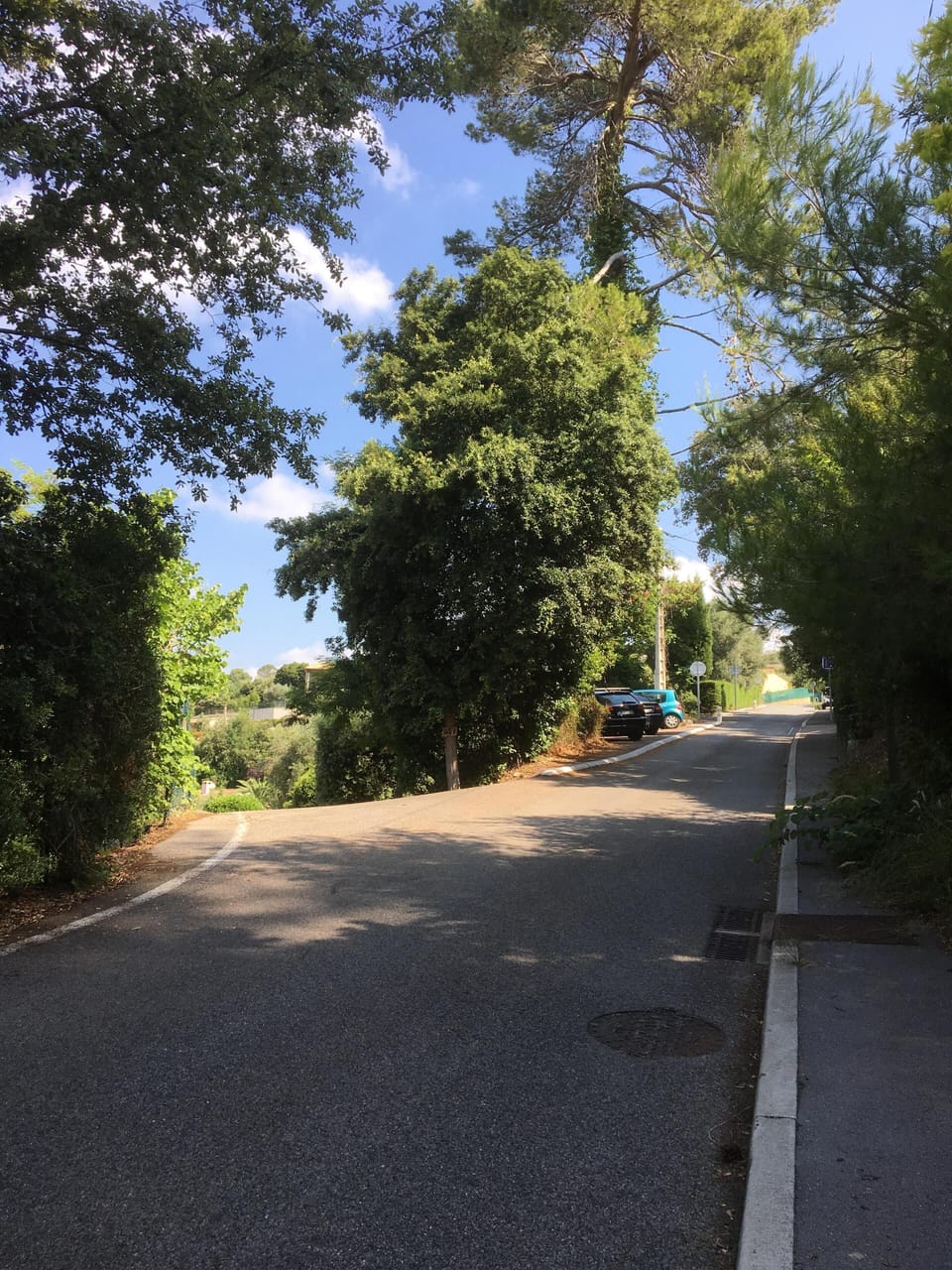597 Chemin du haut Couloubrier. Auribeau sur Siagne