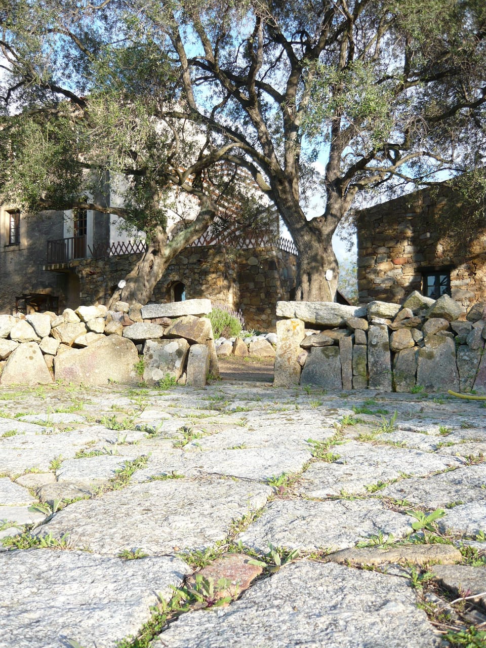 Property grounds