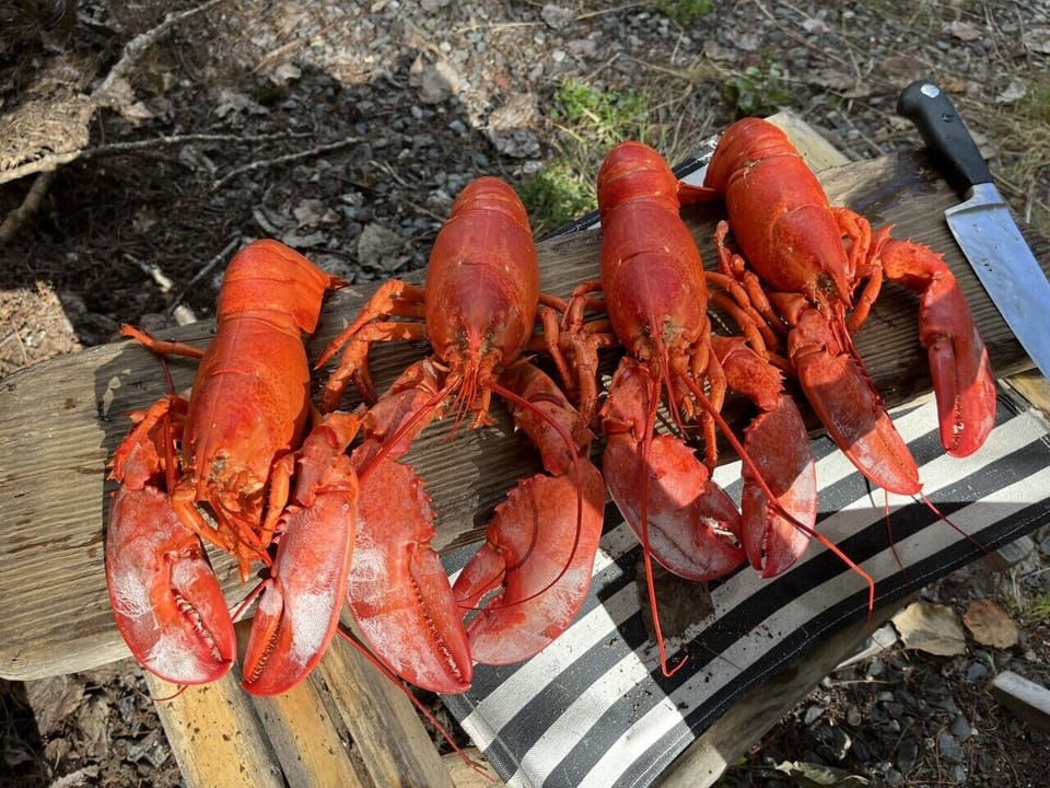 Plenty of room to entertain!