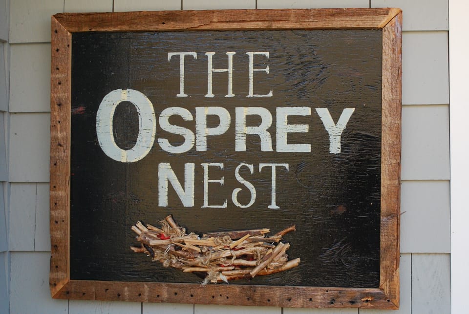 Welcome to The Osprey Nest