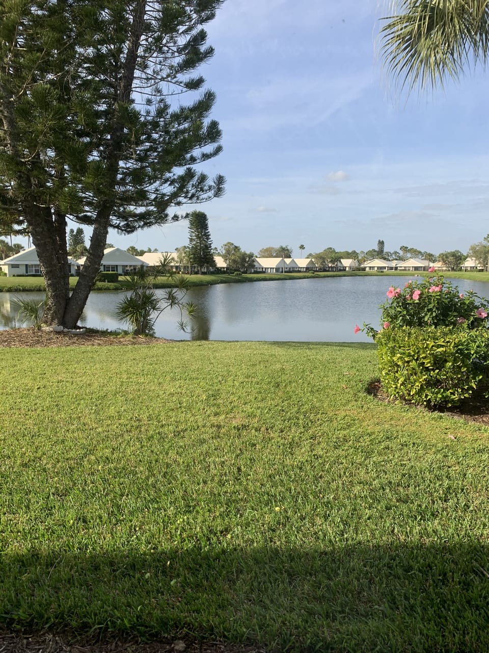 Lake view