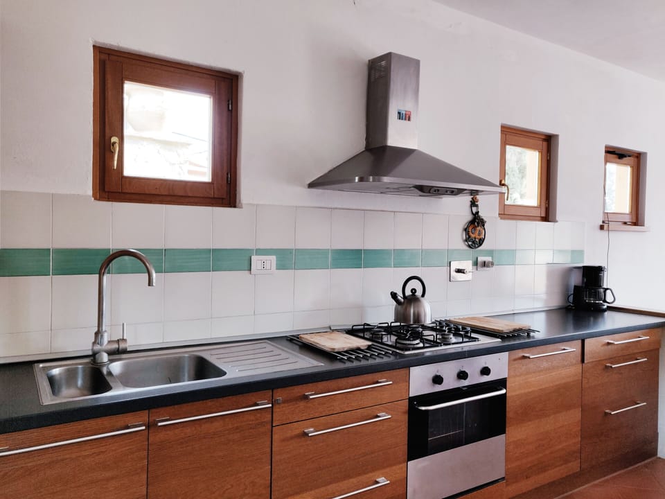 A close up of the kitchen and cooking surface