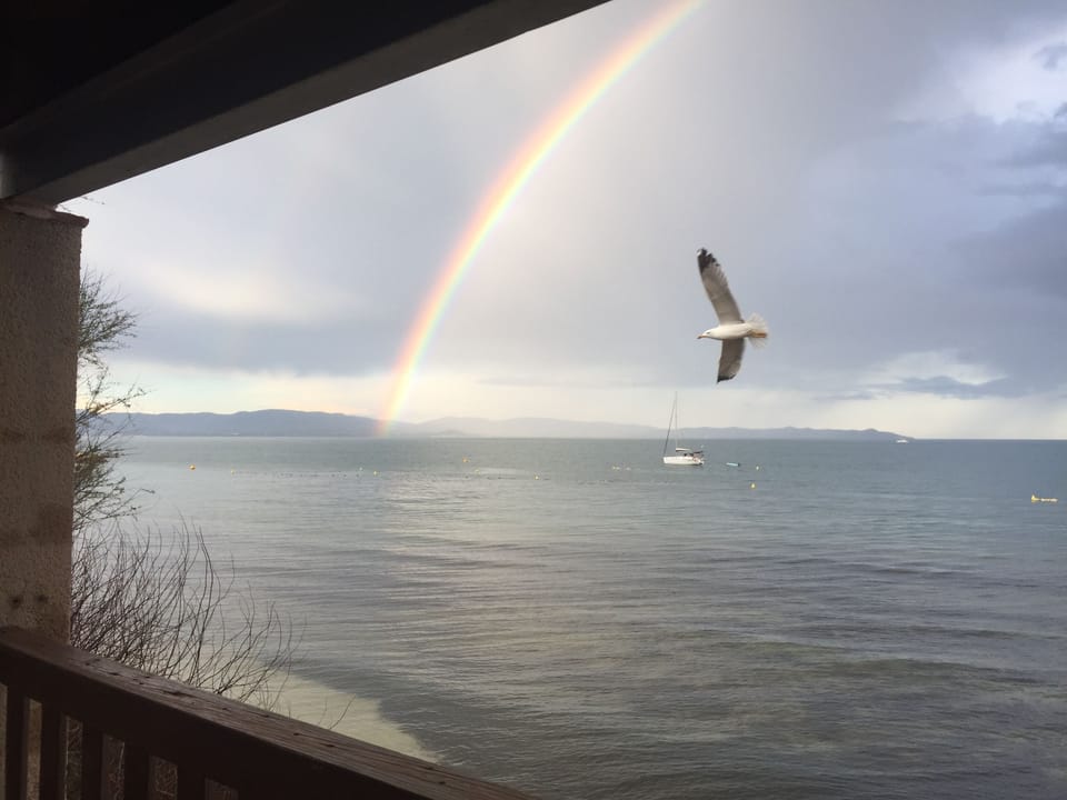 View from property