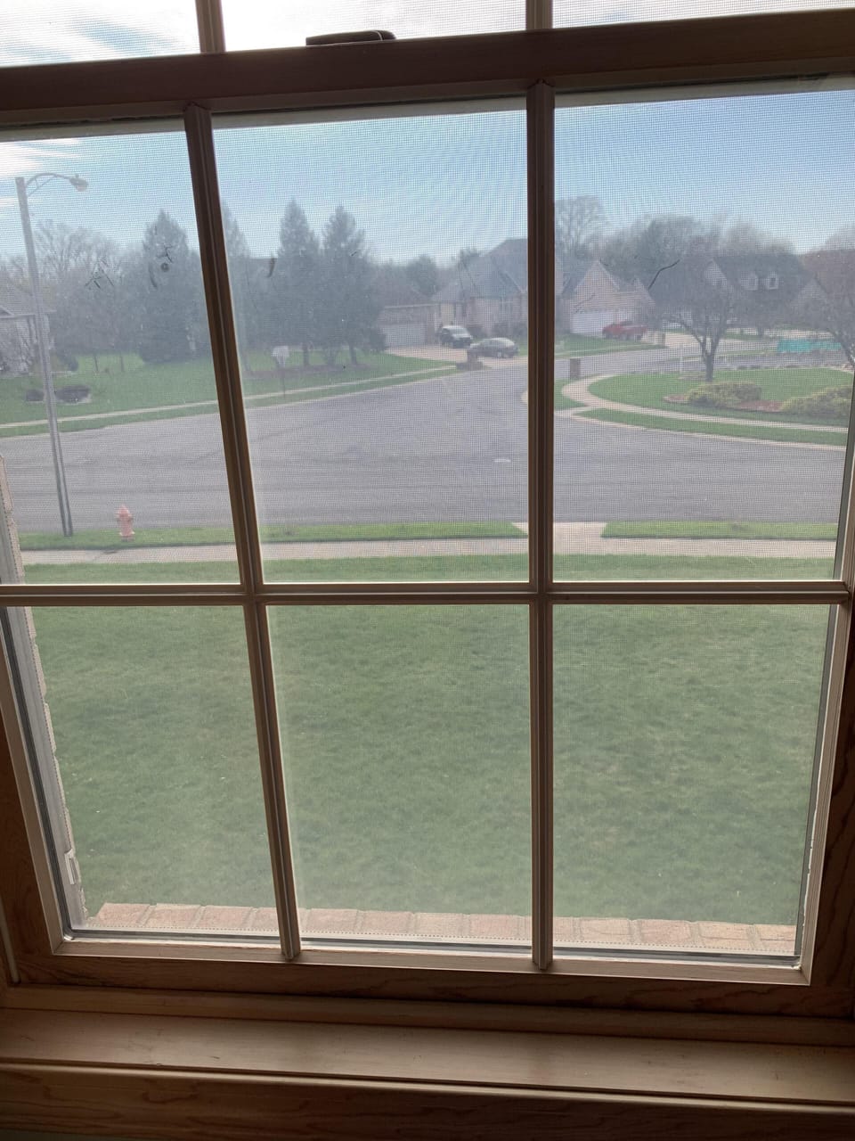 View to the street in the front