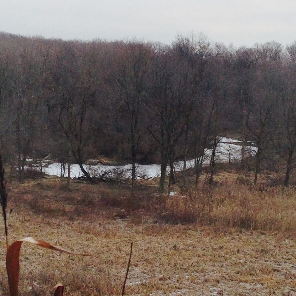 View in back of our house