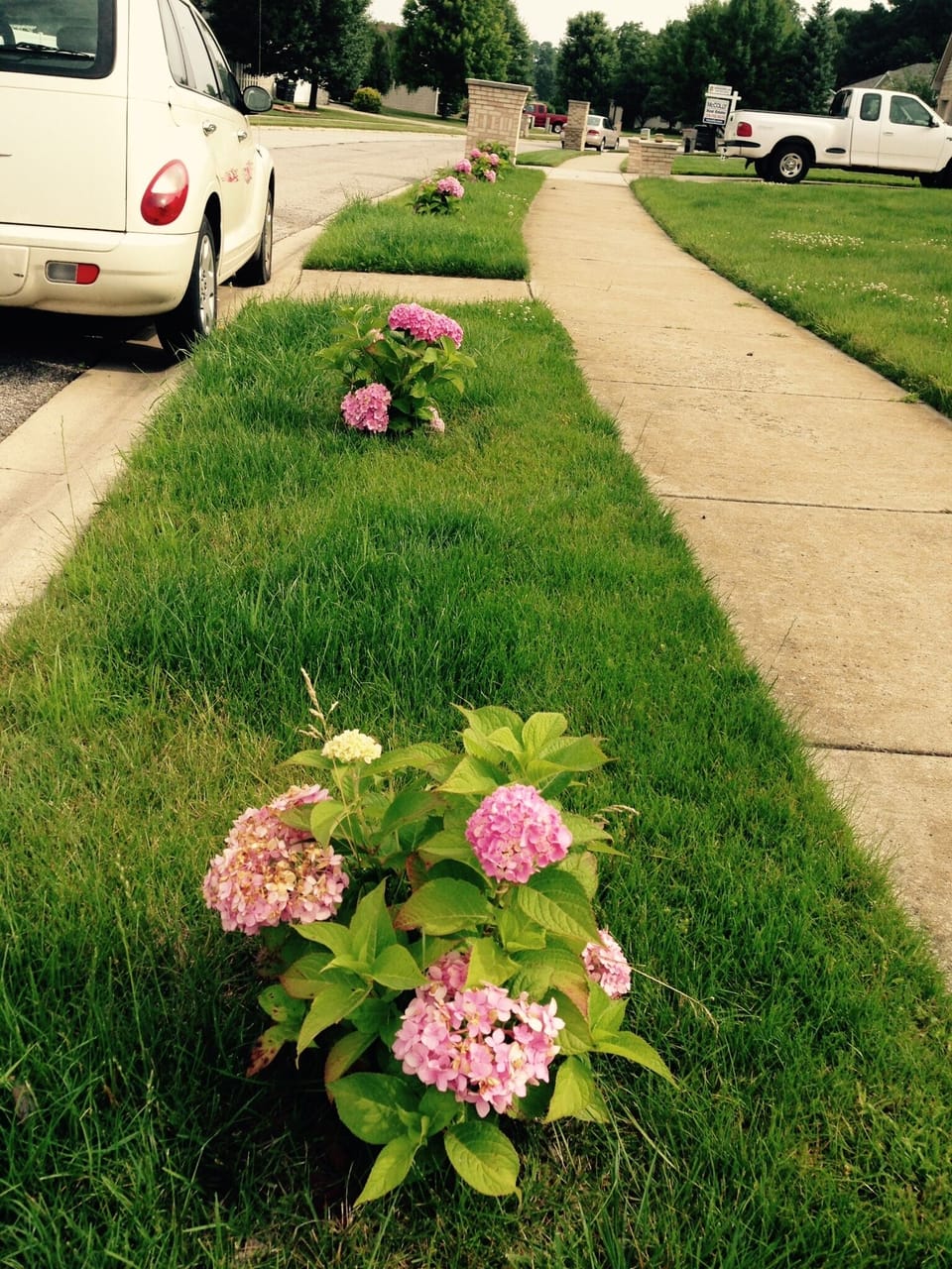 Parking in street in front of the house