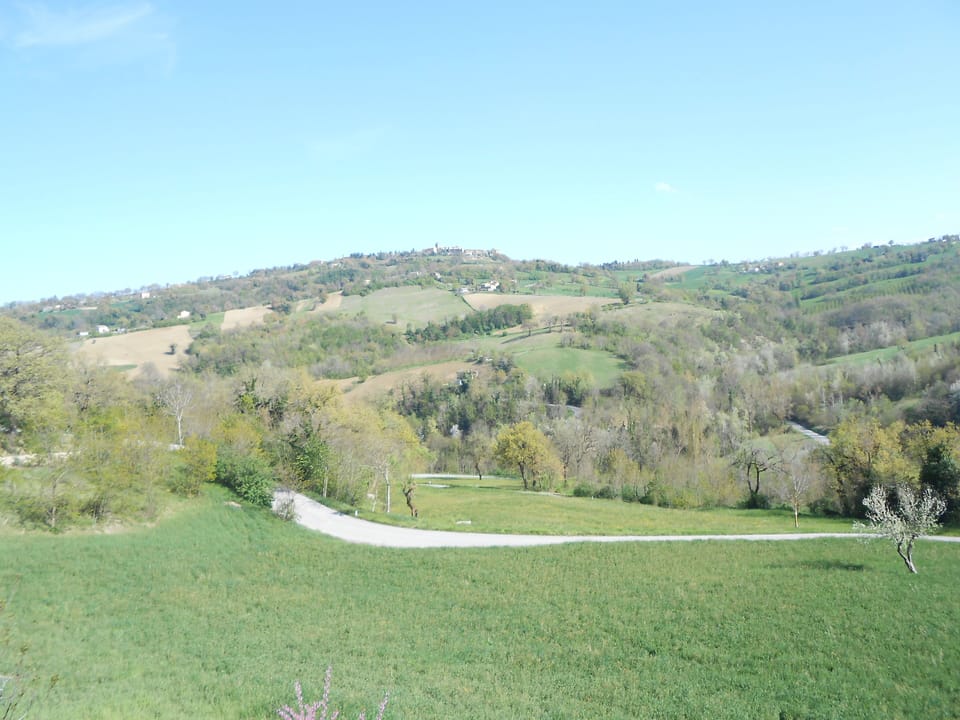 View from the terrace.