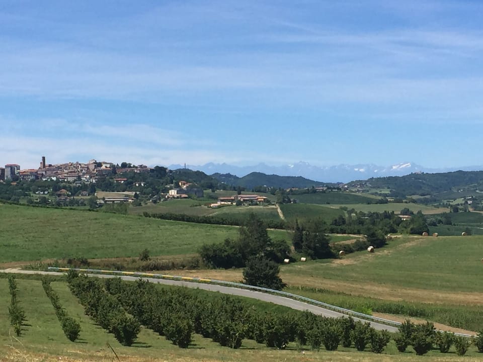 Moncalvo with the olive trees and mountains