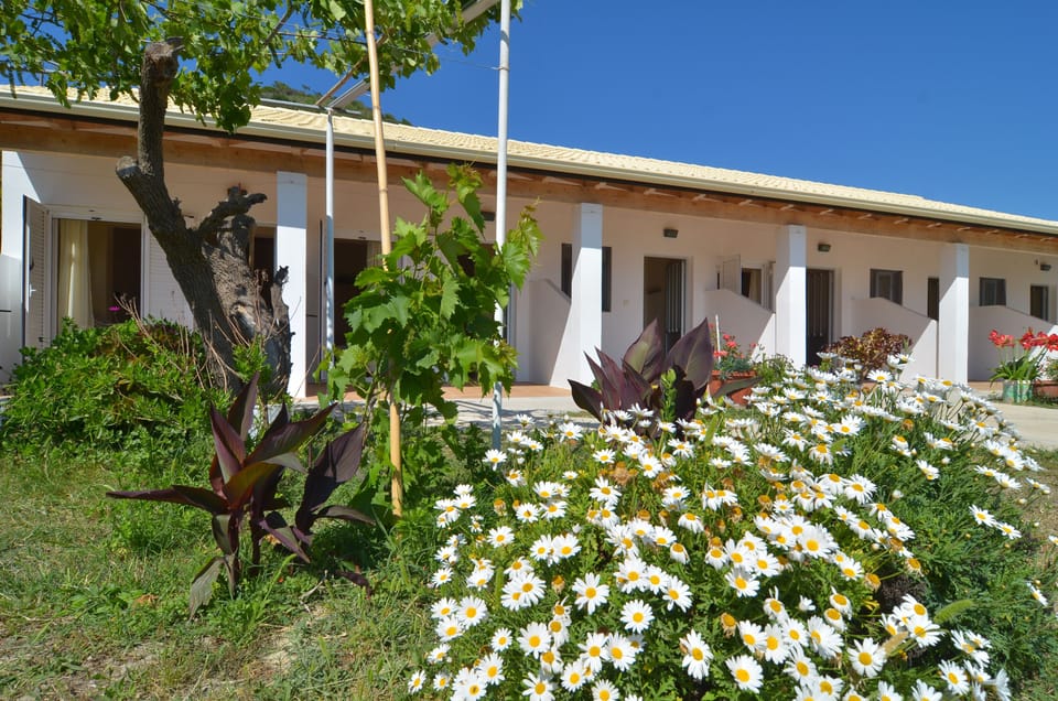 White House Pagoi Apartment 