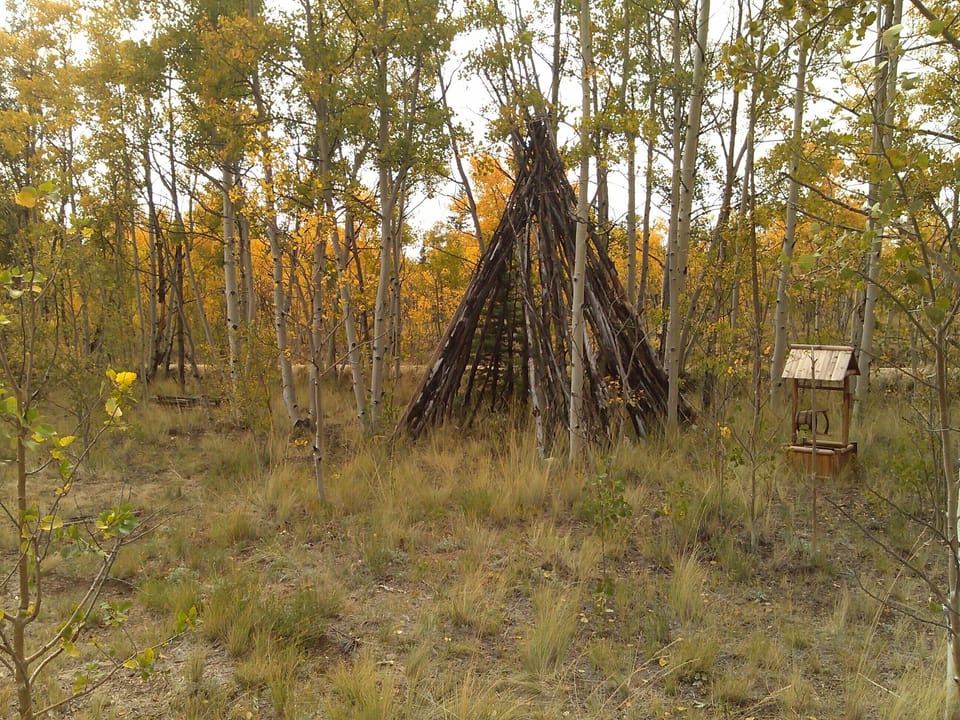 TP in front of cabin. Visible from the front room picture window.