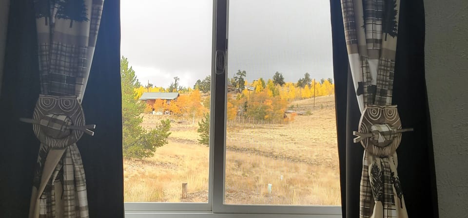Fall view out of bedroom 1 window.