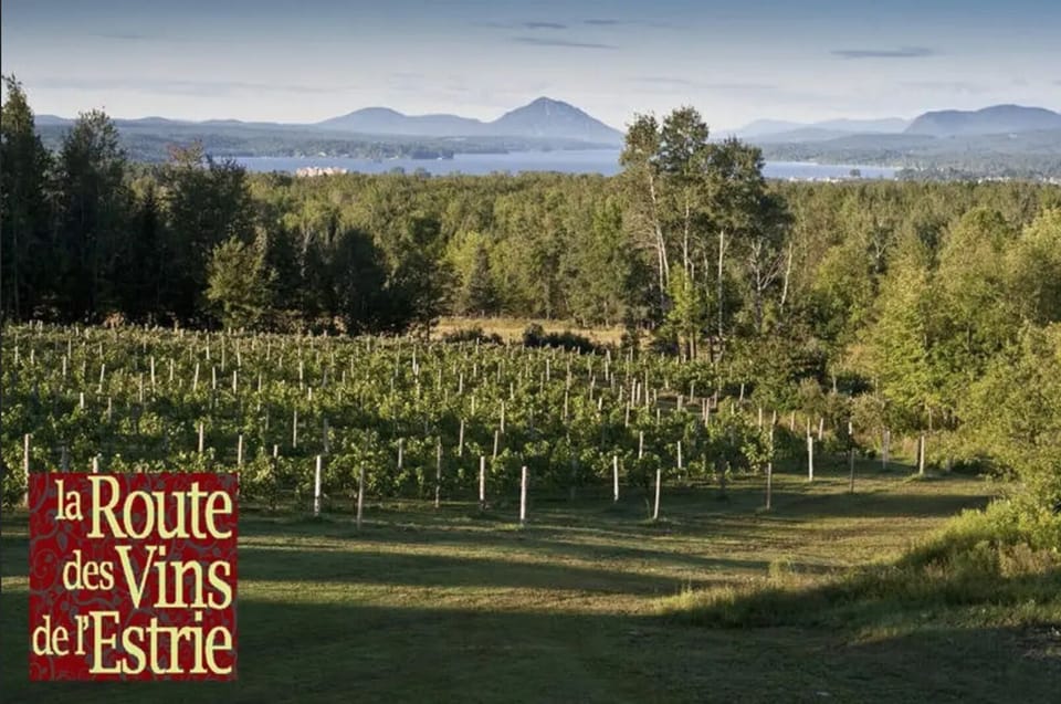 The wine route starts 5 minutes from our chalet