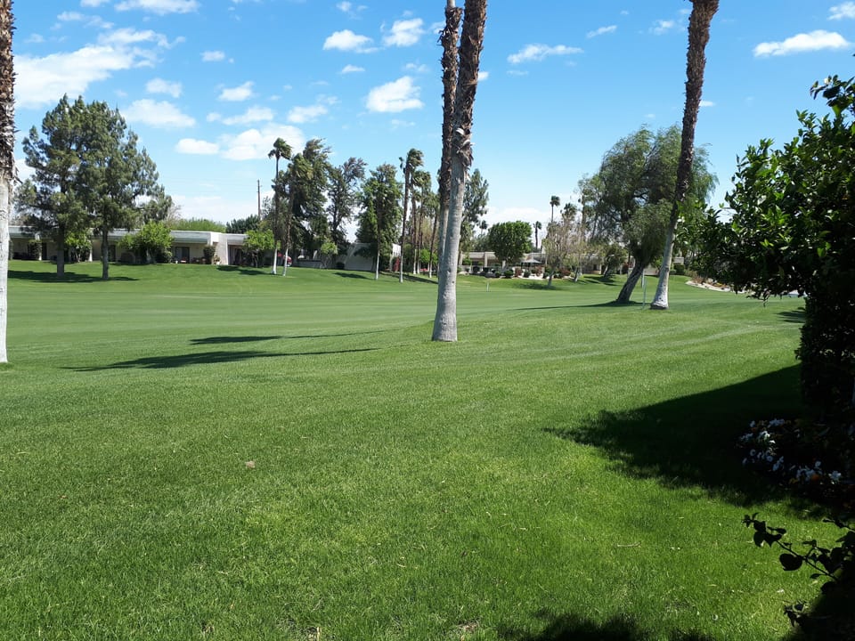 View from patio