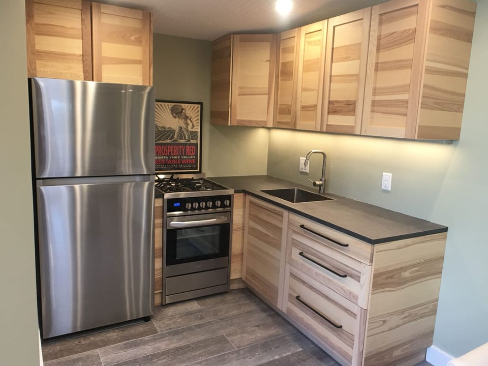 Gourmet contemporary kitchen