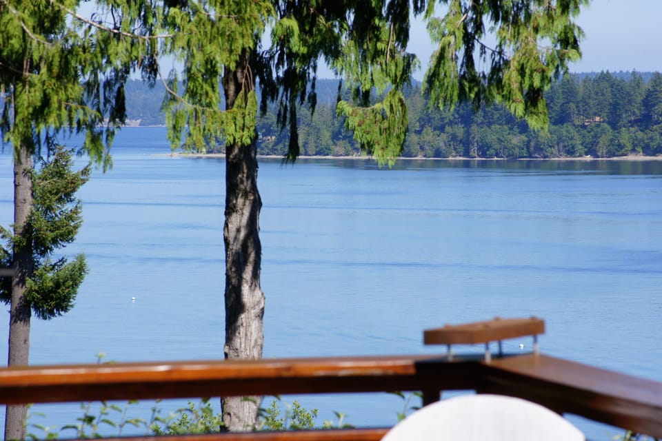 view from deck