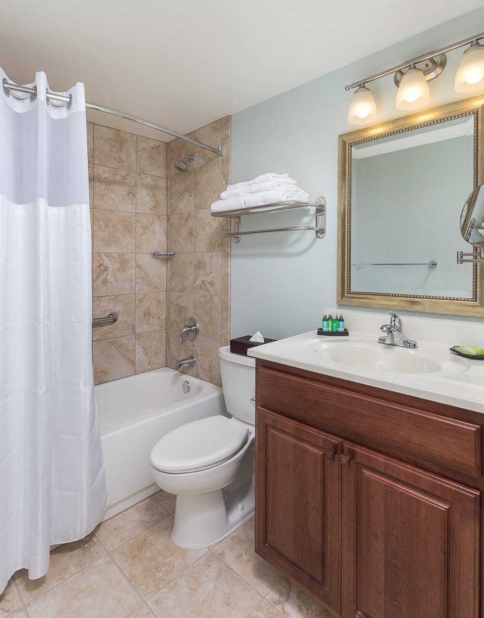 One Bedroom Suite