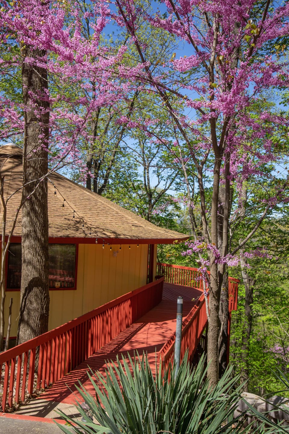 Walkway to entry door