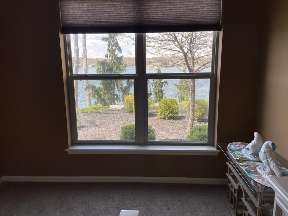 Lake view