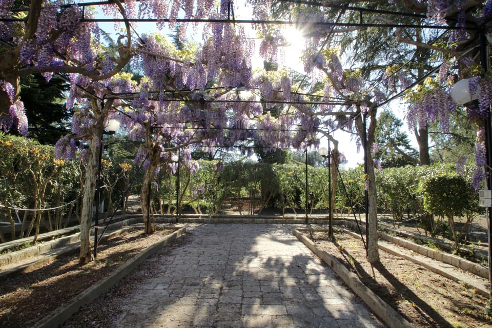Exclusive Piccinnu al-fresco breakfast and lunch area in the Spring!