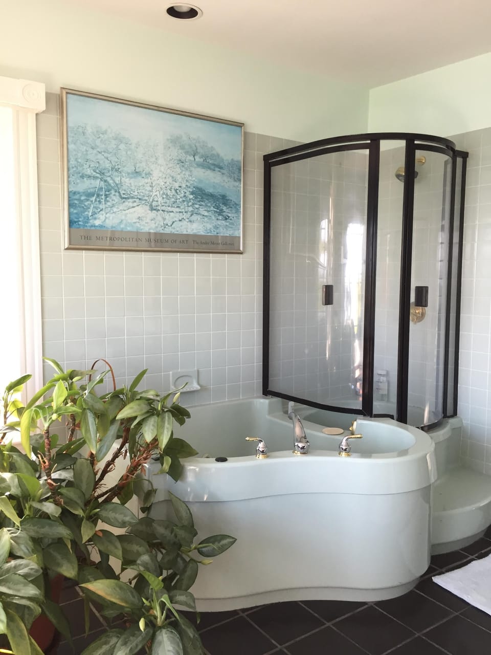Master Bedroom Suite's jacuzzi and shower