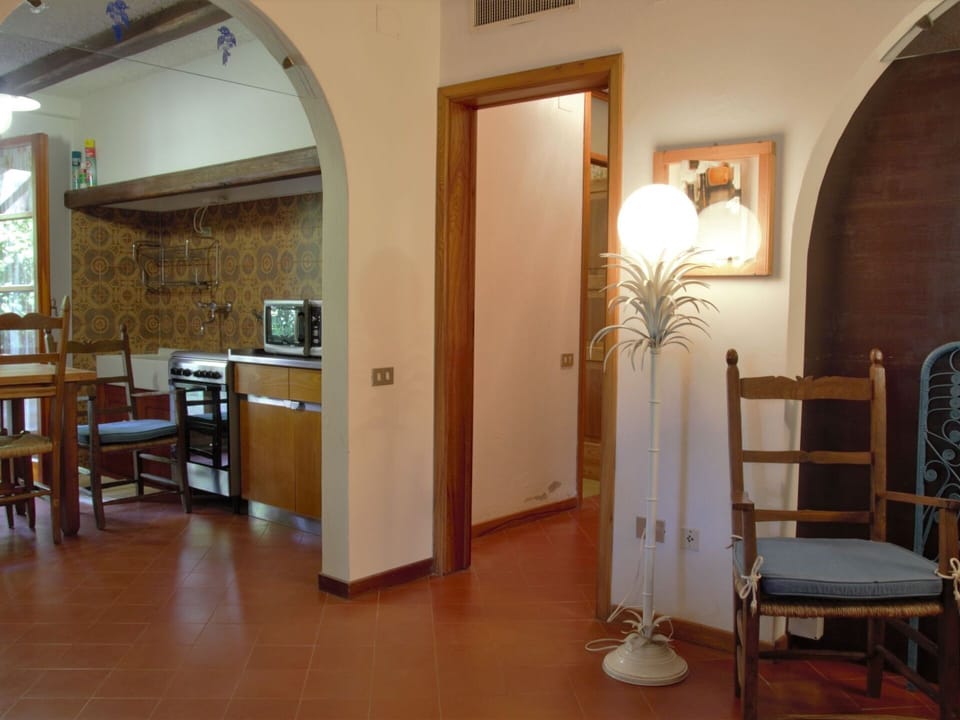 Furniture, Chair, Door, Building, Houseplant, Picture Frame, Wood, Interior Design, Hall, Flooring