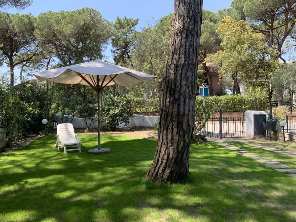 Plant, Property, Tree, Shade, Sky, Botany, Architecture, Land Lot, Grass, Outdoor Furniture