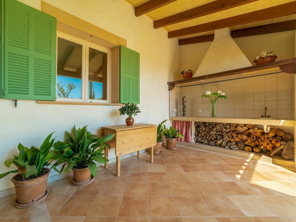 Plant, Flowerpot, Houseplant, Window, Building, Interior Design, Architecture, Flower, Floor, Wood