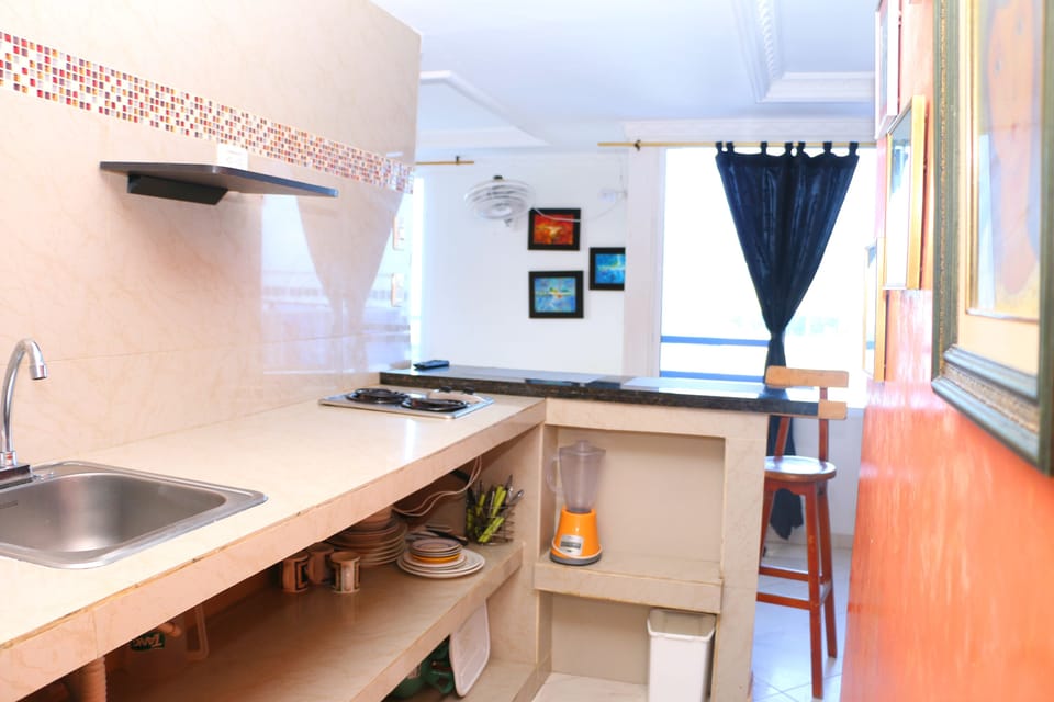 APARTAMENTO CON BALCN 1-11C
