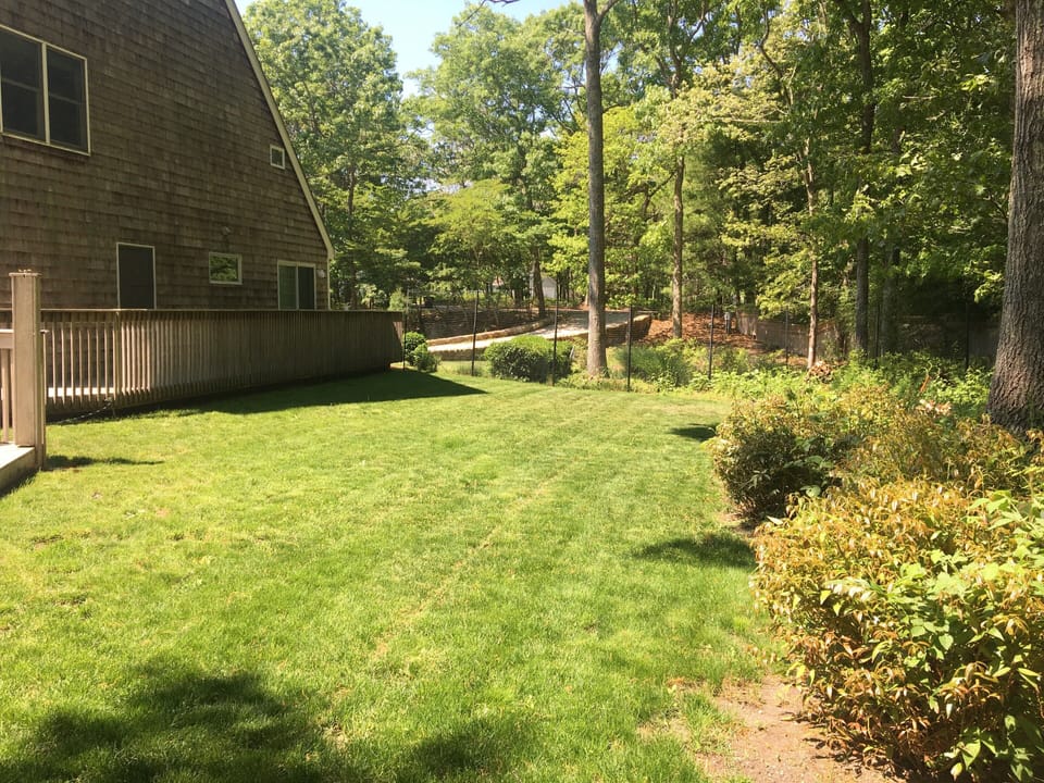 Fenced in yard