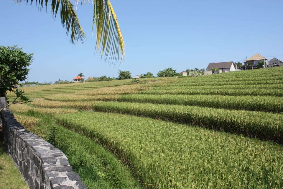 Spacious Highstanding Villa in Umalas