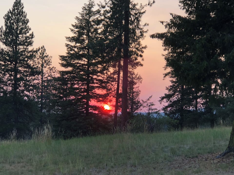 Beautiful sunset!