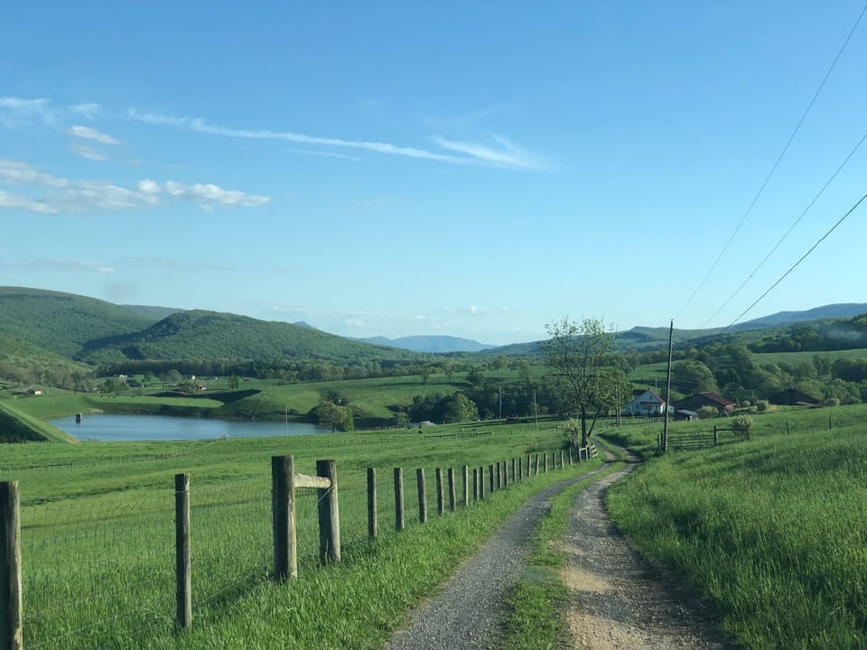 View from as you head out drive way, looking to the south