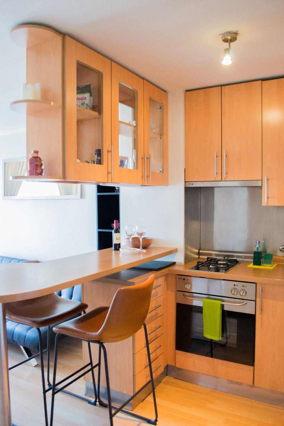 Gorgeous apartment in Providencia