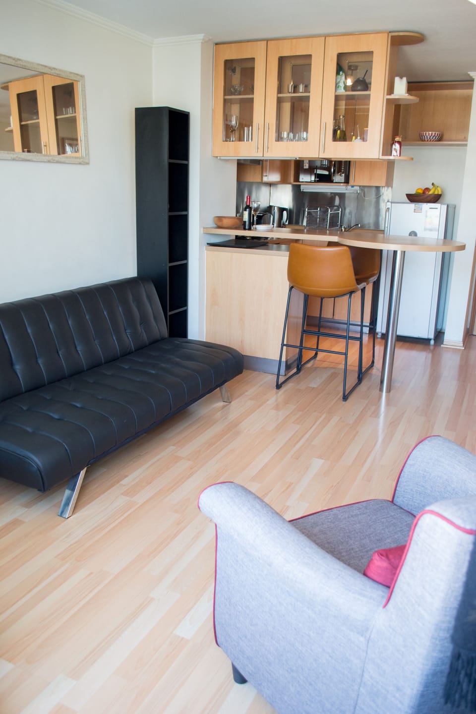 Gorgeous apartment in Providencia