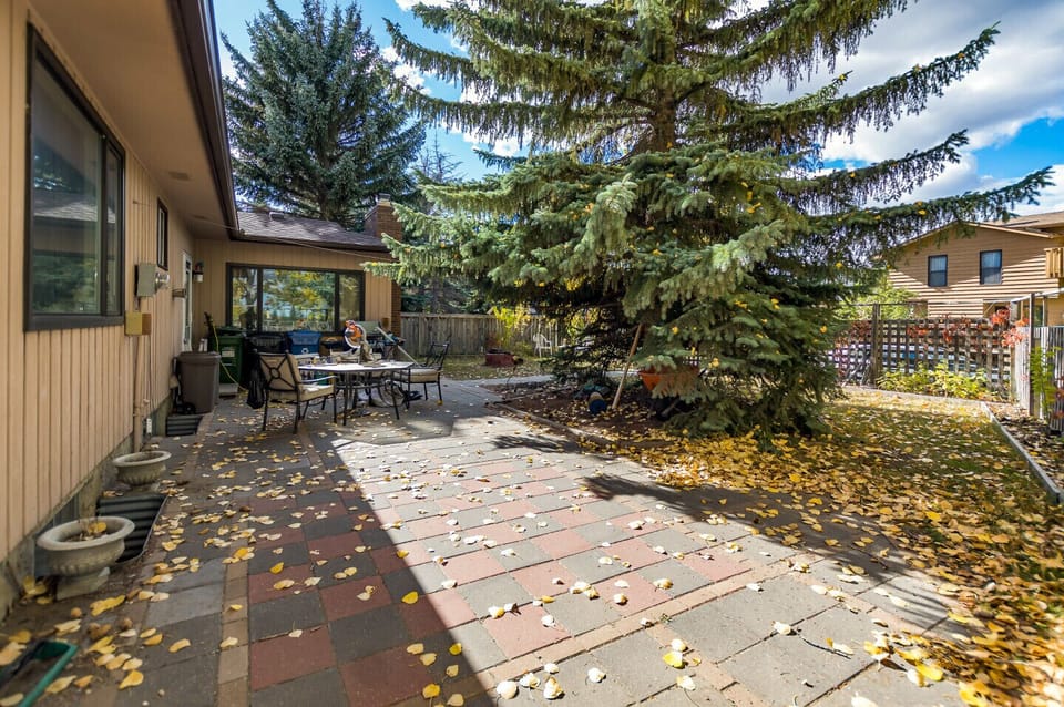 Backyard Patio