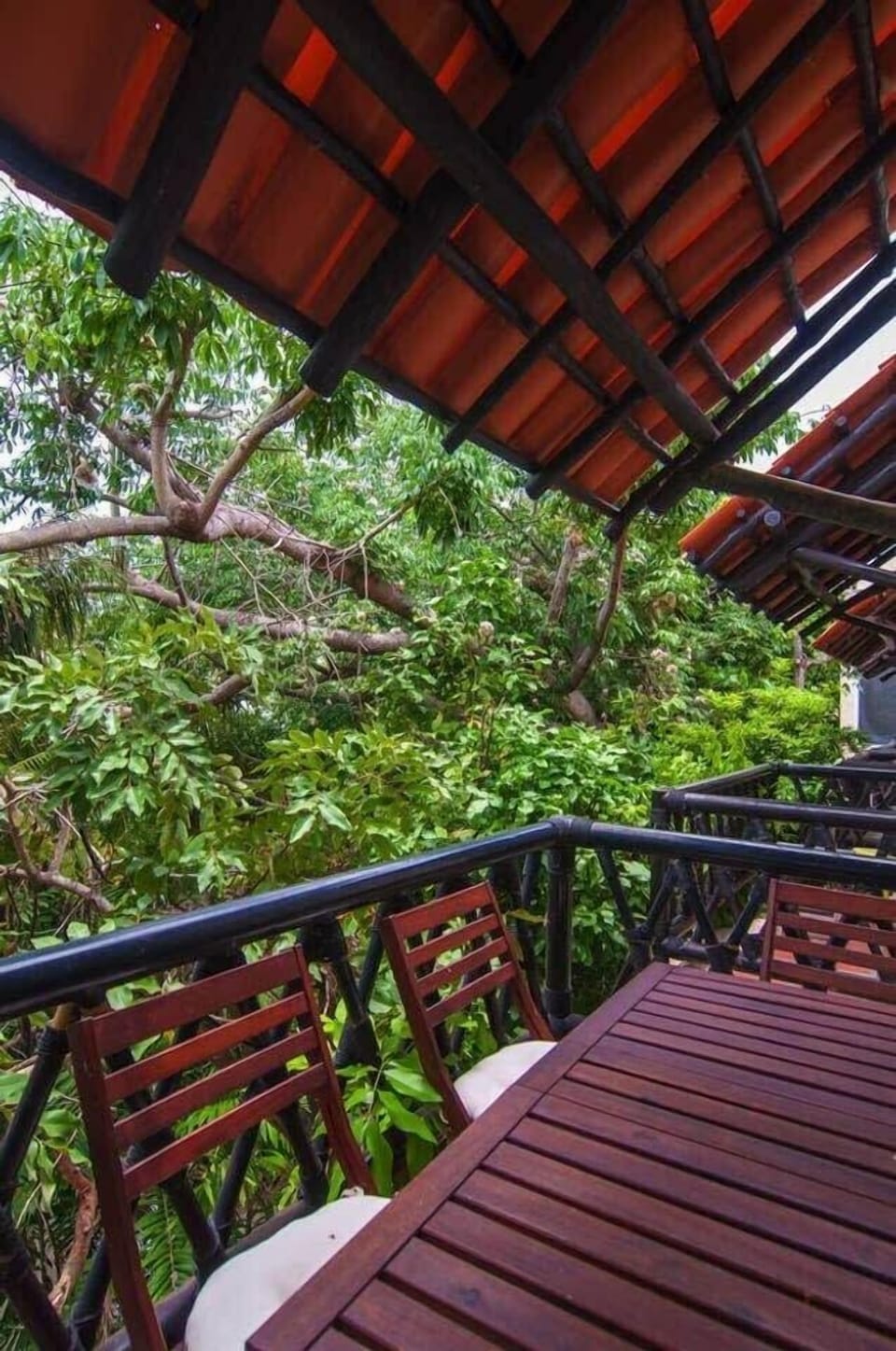 Shaded balcony surrounded by tropical plants: the perfect spot for a leisurely brunch